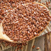 Flax seeds and its health benefits